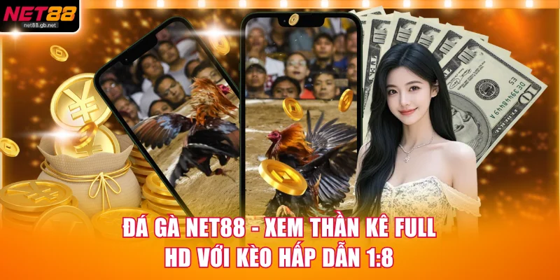 Đá Gà NET88 - Xem Thần Kê Full HD Với Kèo Hấp Dẫn 1:8