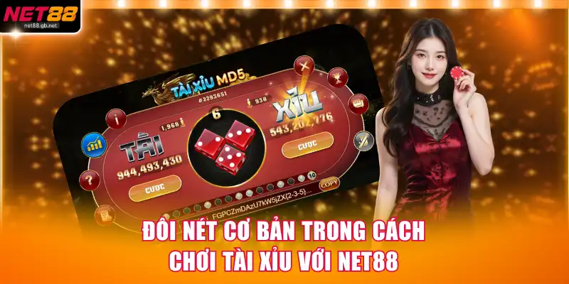 Đôi nét cơ bản trong cách chơi tài xỉu với NET88