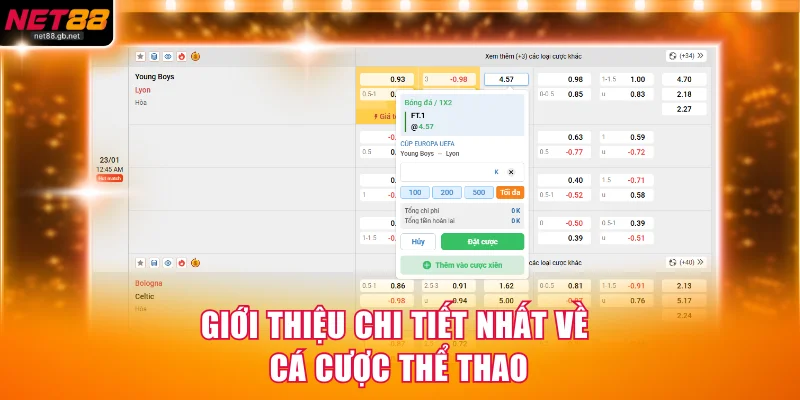 Giới thiệu chi tiết nhất về cá cược thể thao