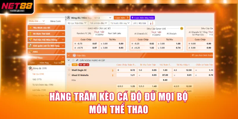 Hàng trăm kèo cá độ đủ mọi bộ môn