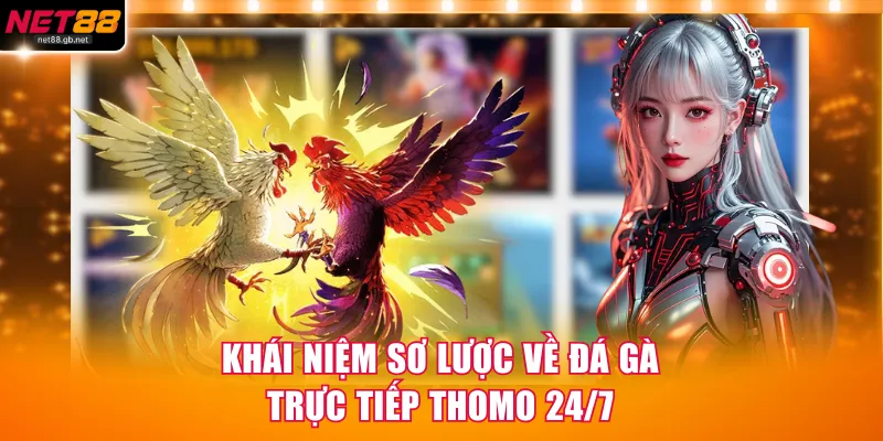 Khái niệm sơ lược về đá gà trực tiếp Thomo 24/7