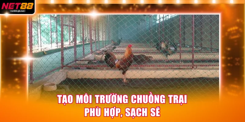 Tạo môi trường chuồng trại phù hợp, sạch sẽ