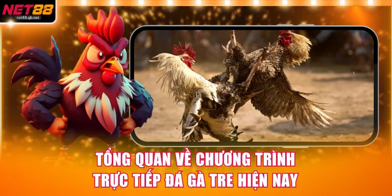 Tổng quan về trực tiếp đá gà tre hiện nay