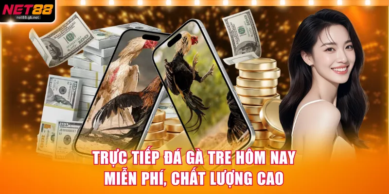 Trực Tiếp Đá Gà Tre
